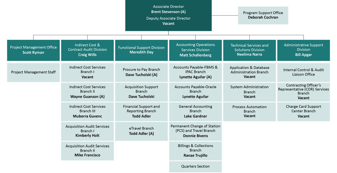 IBC Financial Management Org Chart