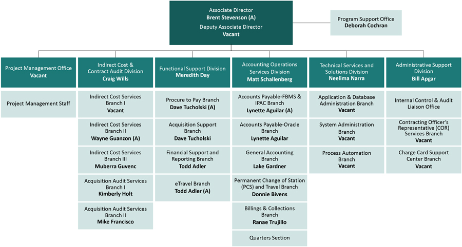 IBC Financial Management Organizational Chart