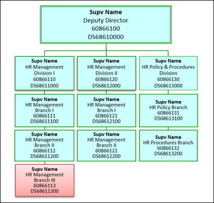 Current org structure with Deputy Director at the top and four rows below with HR Management Divisions and Branches and HR Policy and Procedures Divisions and Branches.