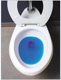 Photo of toilet with bluing agent.